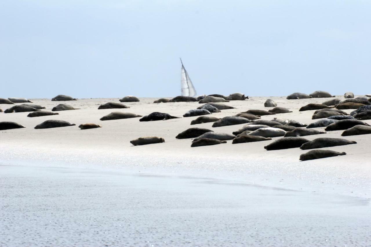 Borkumunterkunft - Woh4 - Im Herzen Der Insel Exterior foto